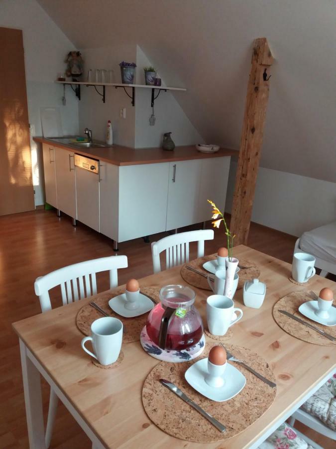 Apartmany F-M Frýdek-Místek Buitenkant foto